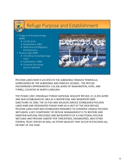  Presentation Transcript for Pocosin Lakes NWR Draft Water Management Plan Virtual Meeting 