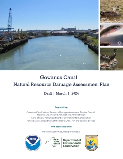 Gowanus Canal NRDA