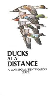 Ducks at a Distance: A Waterfowl Identification Guide