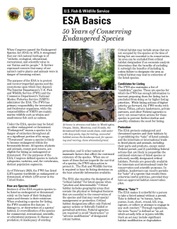 Endangered Species Act Basics: 50 Years of Conserving Endangered Species