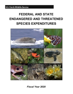 State-listed species vouchered from Lake County * . E = Endangered; T =
