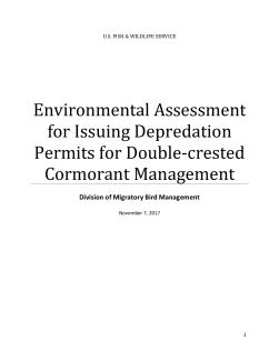 Environmental Assessment for Issuing Depredation Permits for Double-crested Cormorant Management
