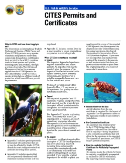 CITES Permits and Certificates Factsheet 2013