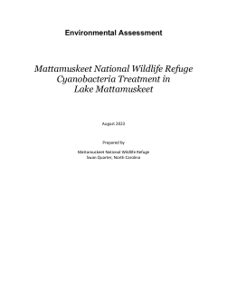 Draft Environmental Assessment for Cyanobacteria Treatment in Lake Mattamuskeet