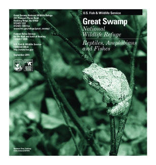 Great Swamp National Wildlife Refuge Amphibians Brochure