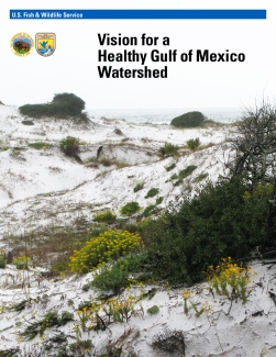 Vision for a Healthy Gulf of Mexico Watershed