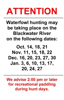 Waterfowl Hunting on Blackwater River