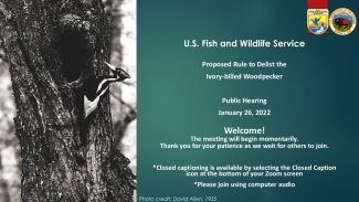 Proposed Rule to Delist the Ivory-billed Woodpecker Public Meeting Presentation