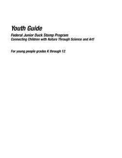 junior-duck-stamp-curriculum-youth-guide