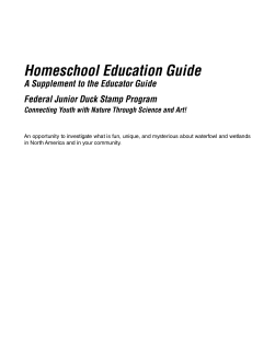 junior-duck-stamp-home-school-education-guide