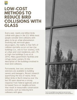 Low-Cost Methods to Reduce Bird Collisions with Glass