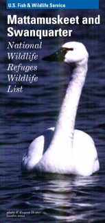 Wildlife List Mattamuskeet National Wildlife Refuge