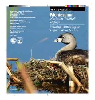 montezuma-wildlife-watching-info-guide-2021.pdf