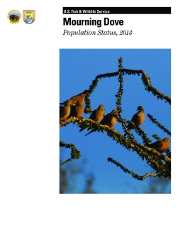 Mourning Dove Population Status Report, 2013