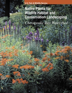 Native Plants for Wildlife Habitat and Conservation Landscaping in the Chesapeake Bay Watershed