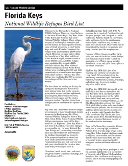 Birdlist for Florida Keys NWRs