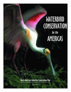 Waterbird Conservation for the Americas North American Waterbird Conservation Plan Version 1 