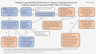 Northern Long-eared Bat (NLEB) Section 7 Interim Consultation Process for Federally Funded Transportation (FHWA/FRA/FTA) Projects