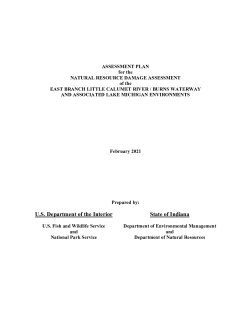 Assessment Plan for the Natural Resource Damage Assessment of the East Branch Little Calumet River / Burns Waterway and Associated Lake Michigan Environments