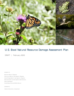 U.S. Steel Draft Natural Resource Damage Assessment Plan