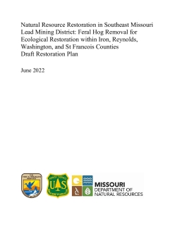 Natural Resource Restoration in Southeast Missouri Lead Mining District: Feral Hog Removal for Ecological Restoration within Iron, Reynolds, Washington, and St Francois Counties Draft Restoration Plan