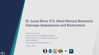 St. Louis River U.S. Steel Natural Resource Damage Assessment and Restoration Informational Document