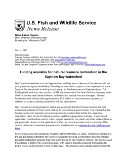 Press Release: Funding Available for Natural Resource Restoration in Saginaw Bay Watershed