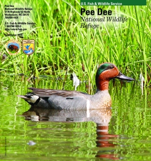 An image of the cover for the refuge brochure.