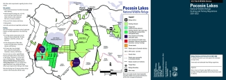 Pocosin Lakes NWR Hunt Brochure