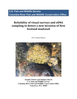 Reliability of visual surveys and eDNA sampling to detect a new invasion of New Zealand mudsnail