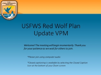 USFWS Red Wolf Plan Update Virtual Public Meeting