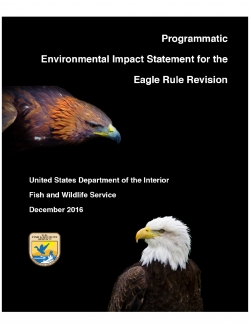 programmatic-environmental-impact-statement-permits-to-incidentally-take-eagles
