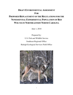 Draft Environmental Assessment Proposed Replacement of the Regulation for the Nonessential Experimental Population of Red Wolves in Northeastern North Carolina