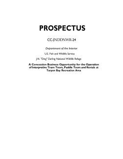 prospectus-cc-jnddnwr-24-34-508.pdf