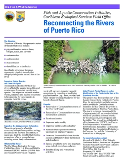 Reconnecting the Rivers of Puerto Rico