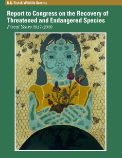 Report to Congress on the Recovery of Threatened and Endangered Species: Fiscal Years 2017-2020
