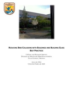 Reducing Bird Collisions with Buildings and Building Glass Best Practices 