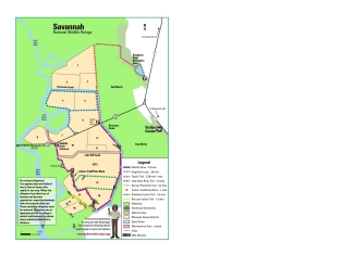 Savannah NWR Trail Map