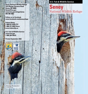 Picture of the cover of the Seney National Wildlife Refuge General Brochure