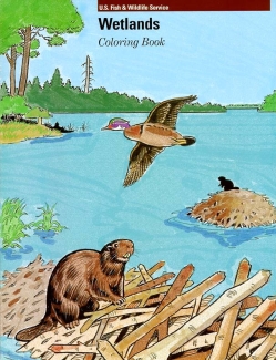 Wetlands Coloring Book