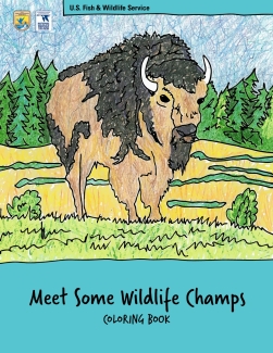 Meet some Wildlife Champs coloring book