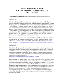 Survey Protocol for the Yuma Ridgway Rail