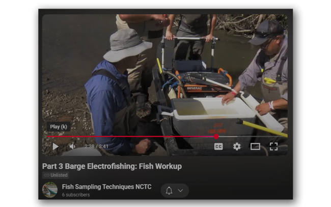 Fish Workup | FWS.gov