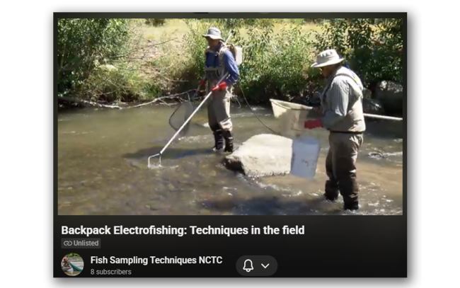 Backpack Electrofishing: Techniques in the Field | FWS.gov