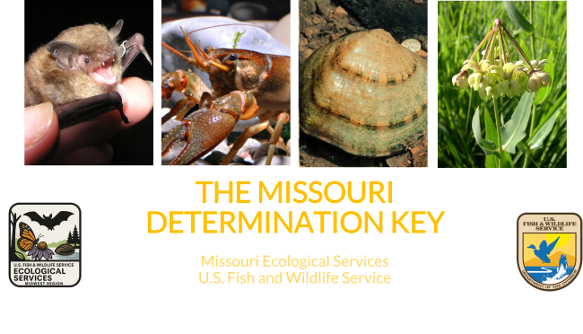 Missouri Determination Key | FWS.gov