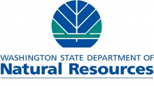 Washington Department of Natural Resources Logo