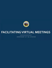 Facilitating Virtual Meetings