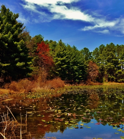 Lake Allen Patuxent Research Refuge