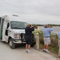 A bus with birders tours Black Point Wildlife Drive, Merritt Island National Wildlife Refuge