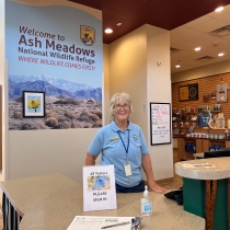 Ash Meadows volunteer